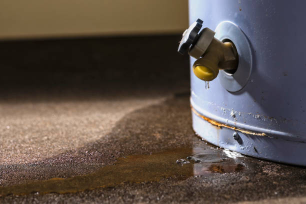 Best Water damage restoration company  in Munroe Falls, OH