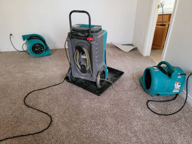 Best Water damage contractors near me  in Munroe Falls, OH