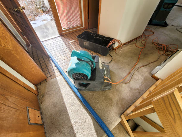 Sewage cleanup and water damage restoration in OH