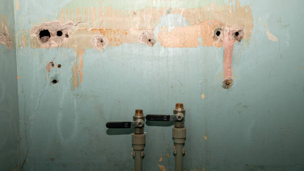 Best Mold removal after water damage  in Munroe Falls, OH